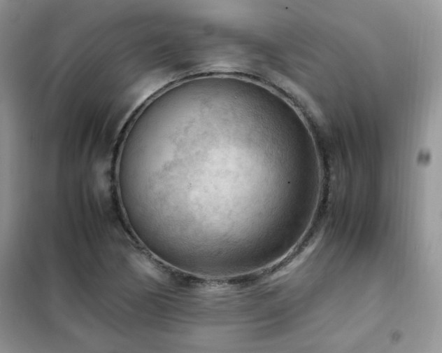 X0000102391170200808011553