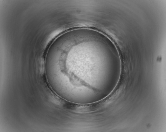 X0000102391171200808011553