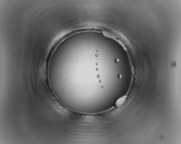 X0000102391172200808011553