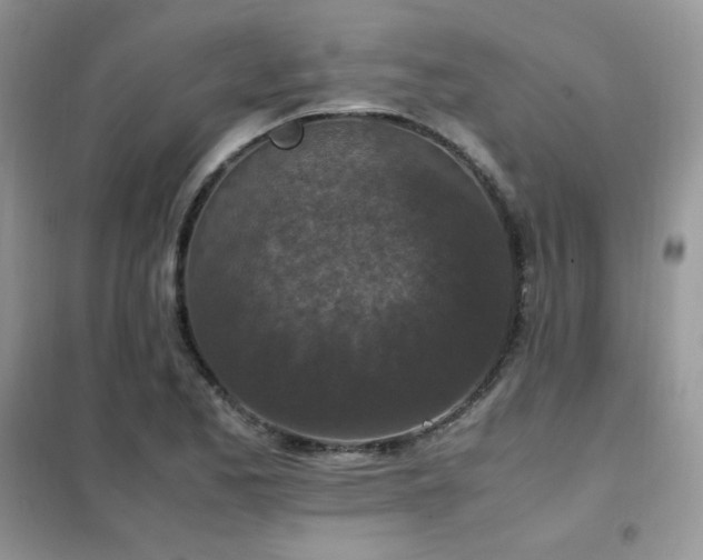 X0000102391173200808011553