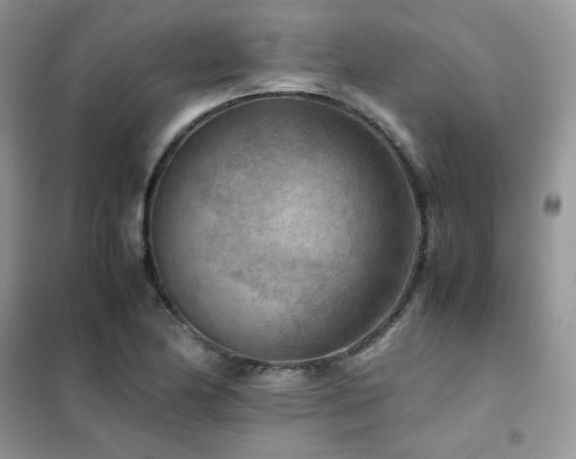 X0000102391174200808011553