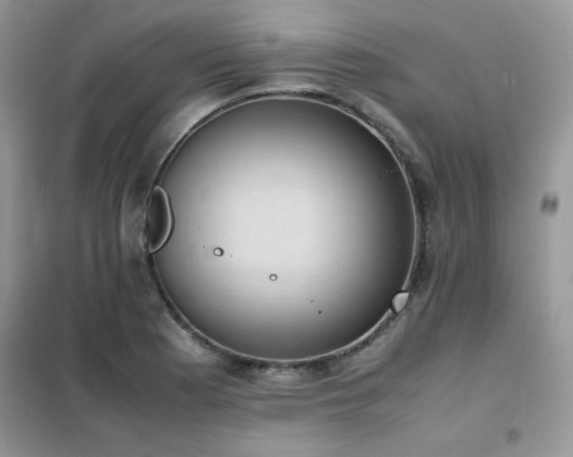 X0000102391177200808011553