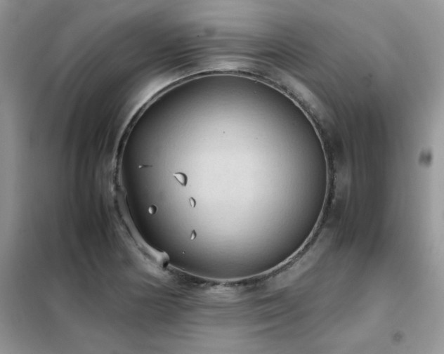 X0000102391178200808011553