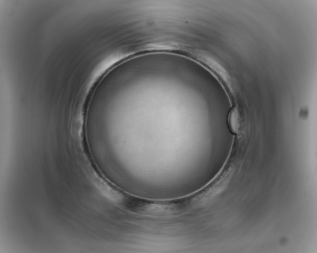 X0000102391179200808011553