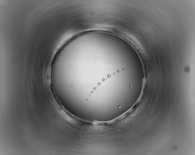 X0000102391180200808011553