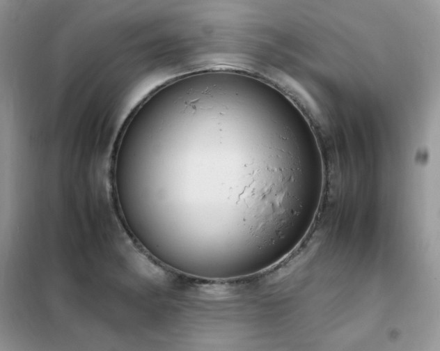 X0000102391182200808011553