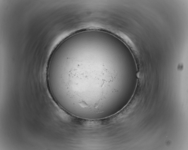 X0000102391183200808011553