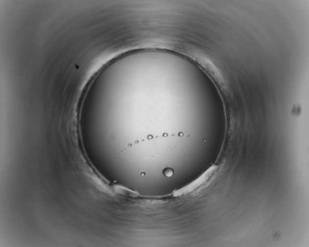 X0000102391184200808011553