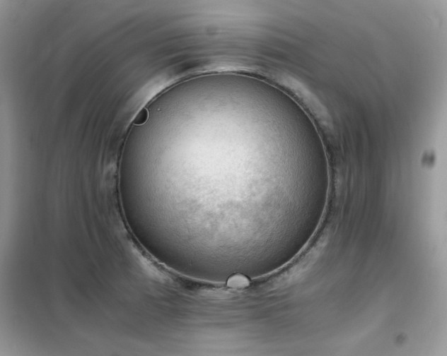 X0000102391185200808011553