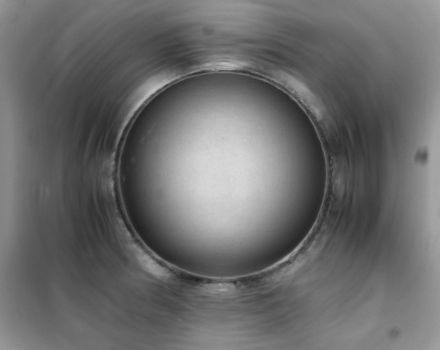 X0000102391186200808011553