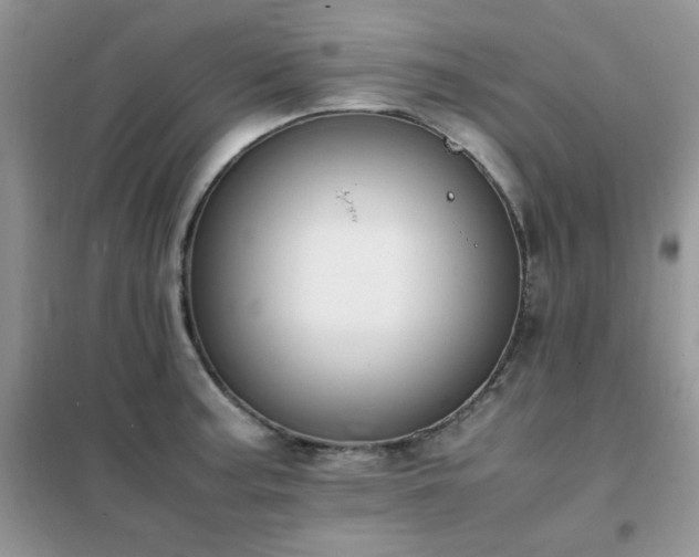 X0000102391187200808011553