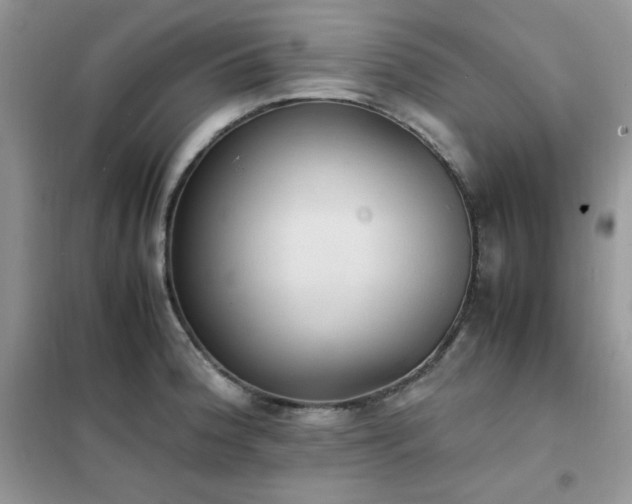 X0000102391188200808011553