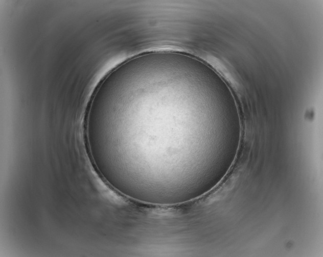 X0000102391189200808011553