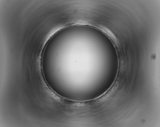 X0000102391190200808011553