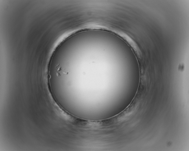 X0000102391191200808011553