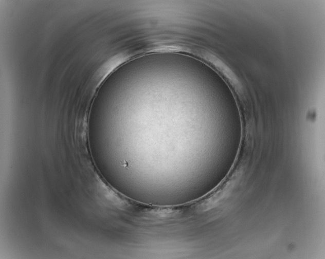 X0000102391193200808011553