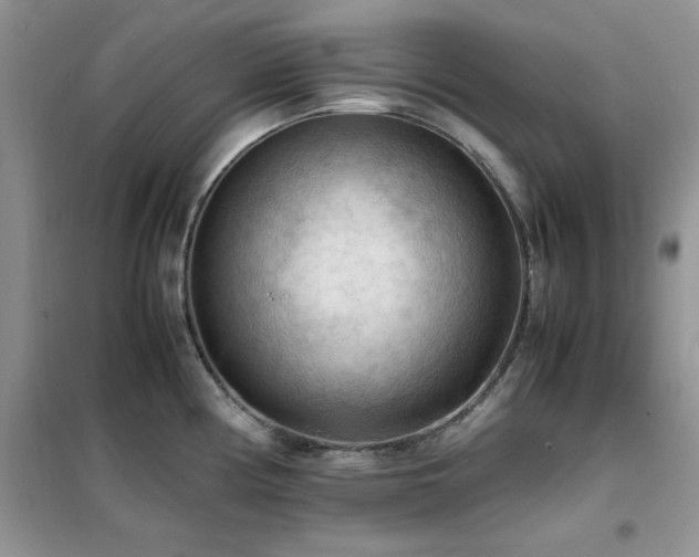 X0000102391194200808011553