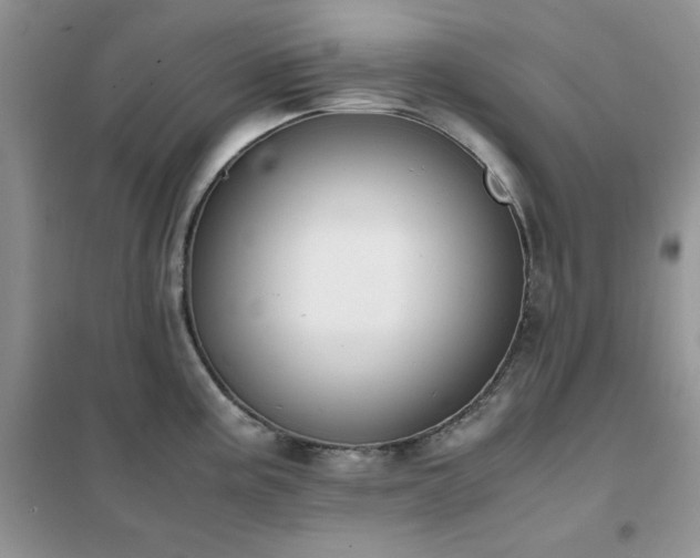 X0000102391195200808011553