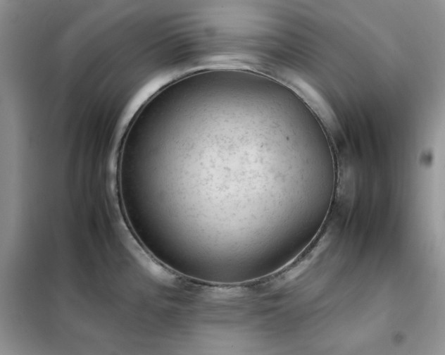 X0000102391196200808011553