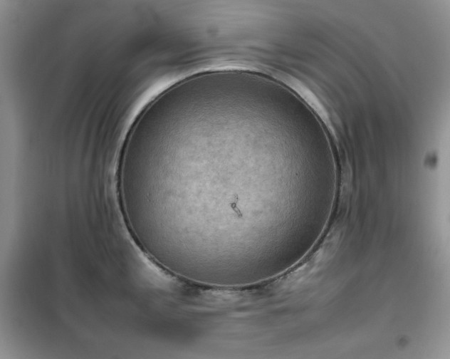 X0000102391197200808011553