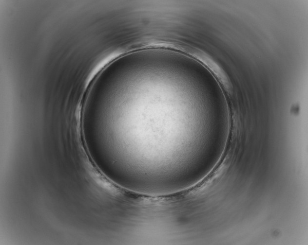 X0000102391198200808011553