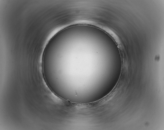 X0000102391199200808011553