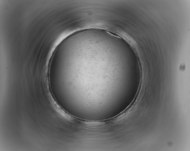 X0000102391200200808011553