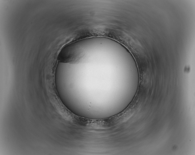 X0000102391201200808011552