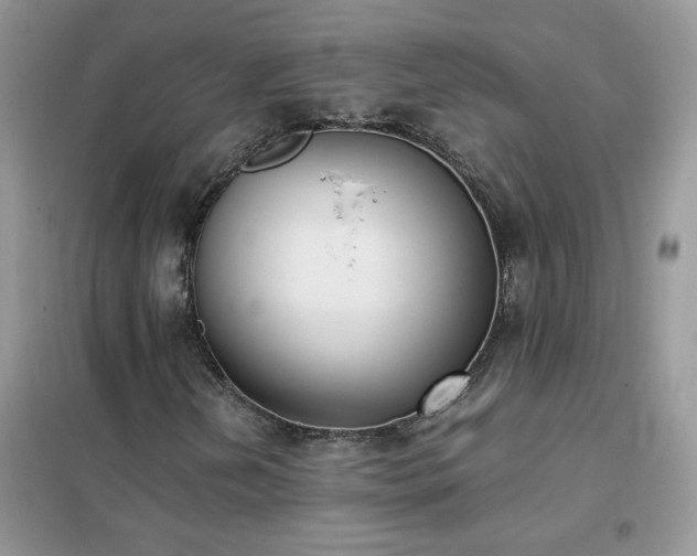 X0000102391202200808011552