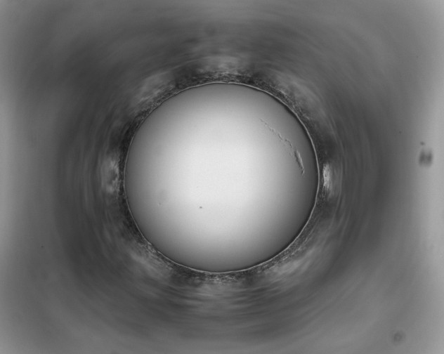 X0000102391203200808011552