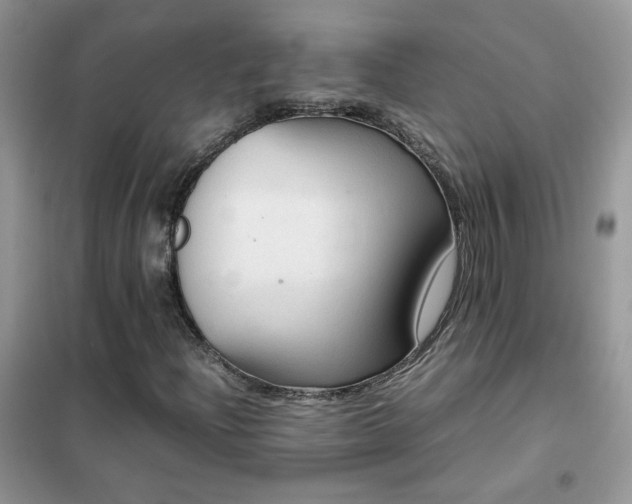 X0000102391204200808011552