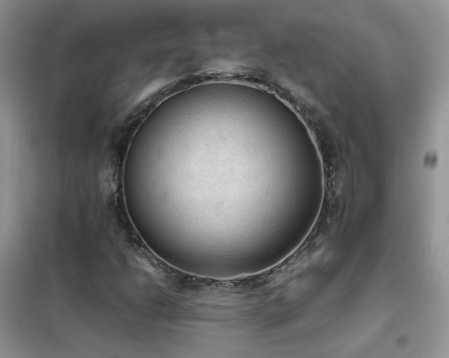 X0000102391206200808011552