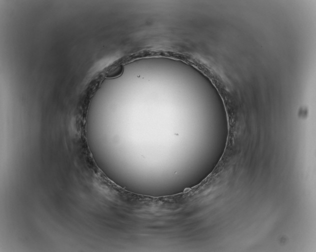 X0000102391207200808011552