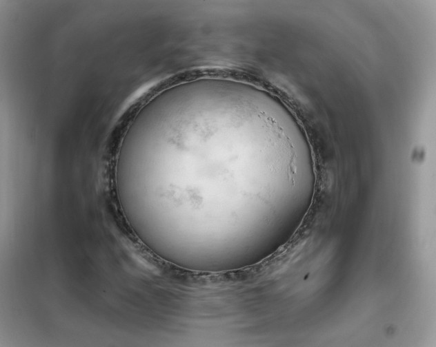 X0000102391208200808011552