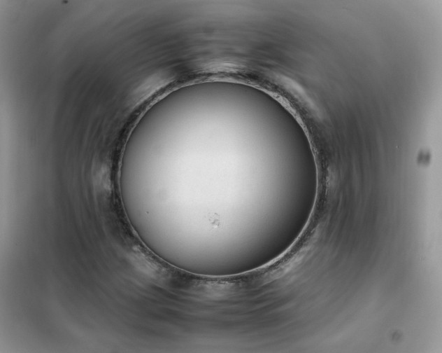 X0000102391209200808011552