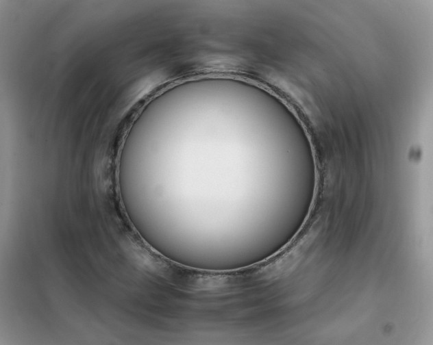 X0000102391211200808011552