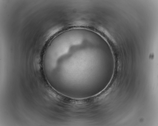 X0000102391213200808011552