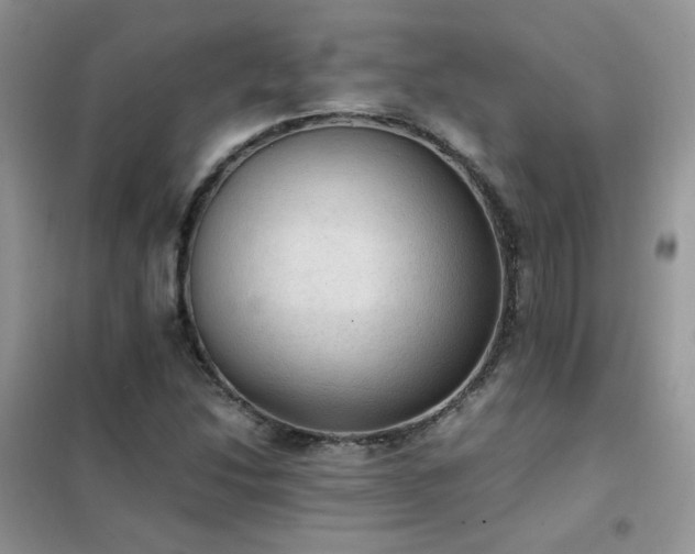 X0000102391214200808011552