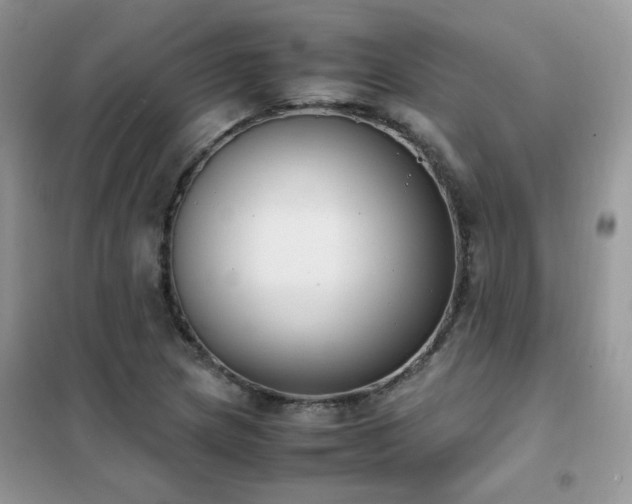 X0000102391217200808011552