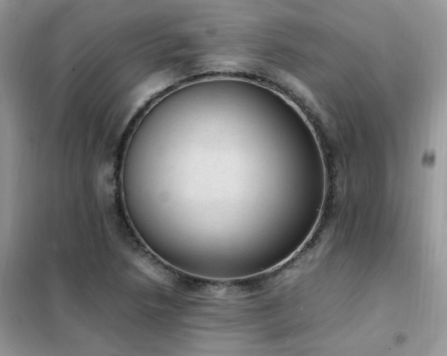 X0000102391218200808011552