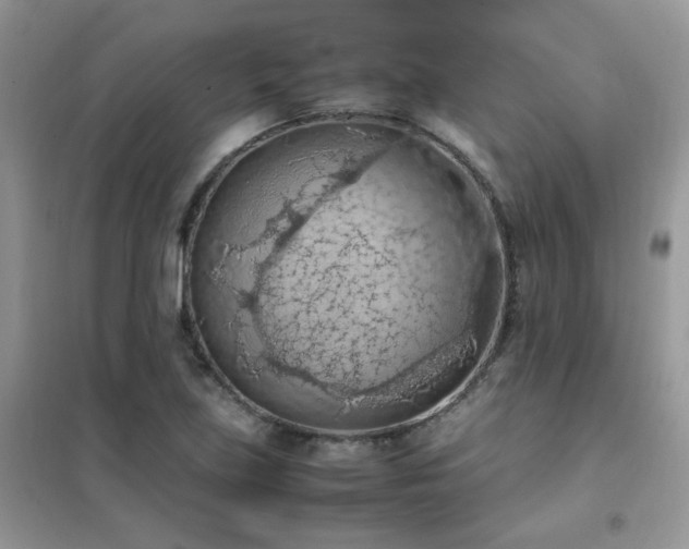 X0000102391219200808011552