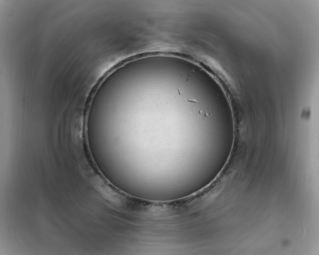 X0000102391220200808011552