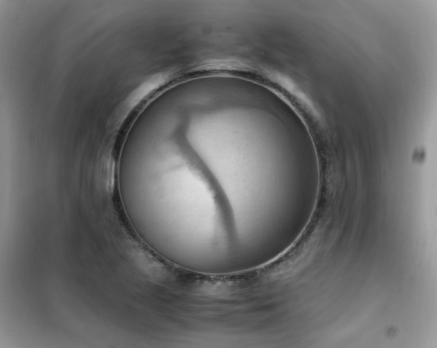 X0000102391221200808011552