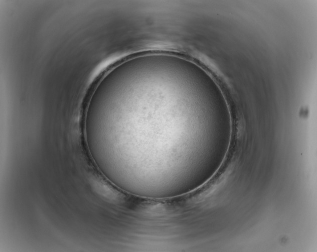 X0000102391222200808011552