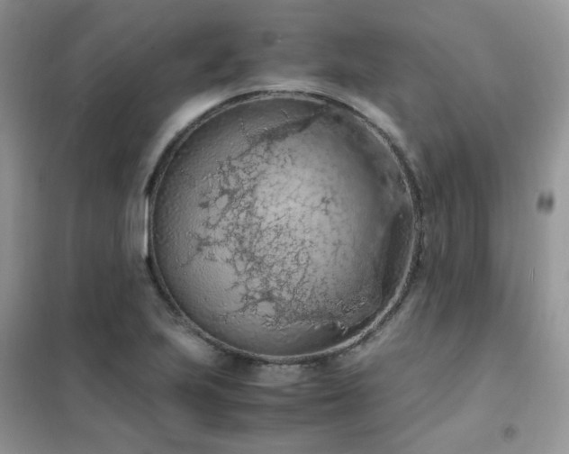 X0000102391223200808011552