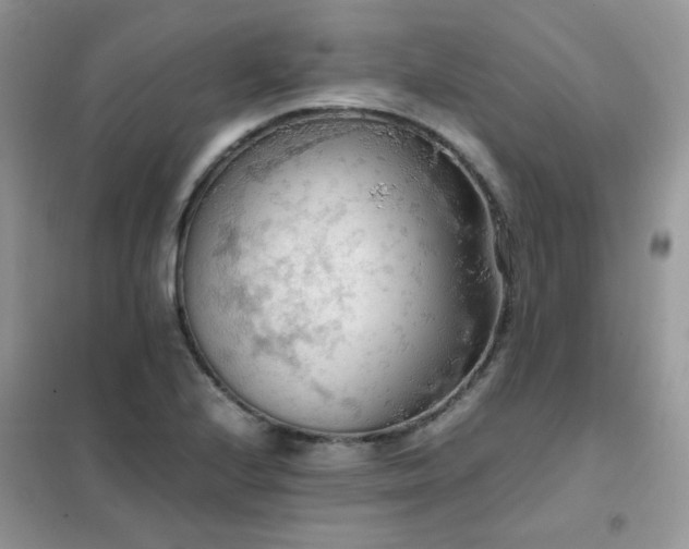 X0000102391224200808011552