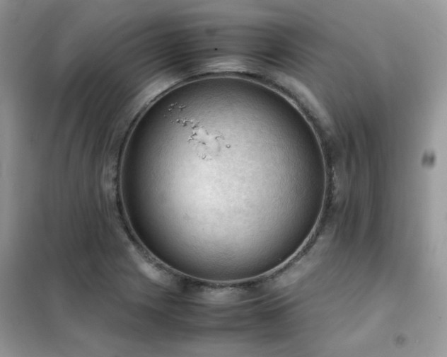 X0000102391225200808011552