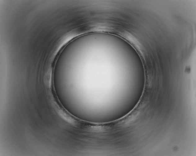 X0000102391227200808011552