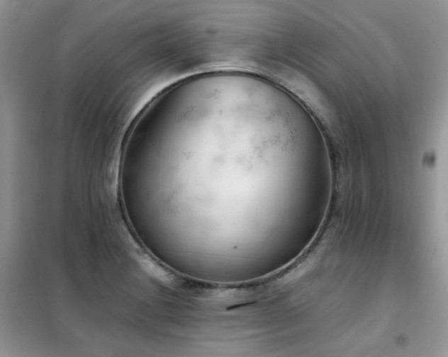 X0000102391228200808011552