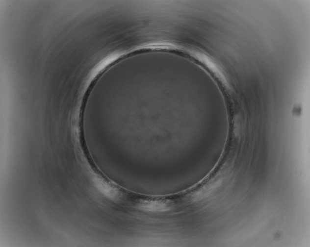 X0000102391229200808011552